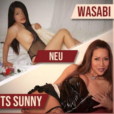 Wasabi X AV &TS.Sunny, Doppelpack( 3ER)mögl!, Bad Zwischenahn