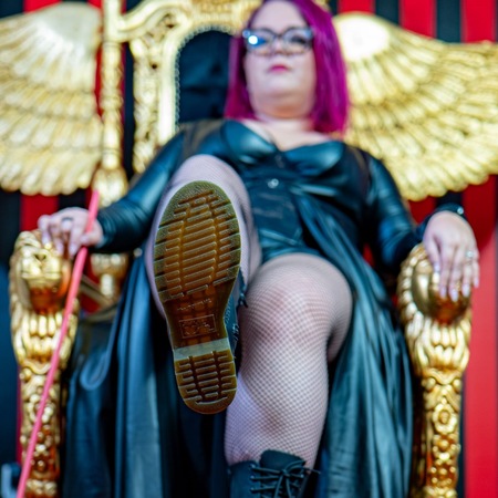 Lady Amalia Rose, Kassel