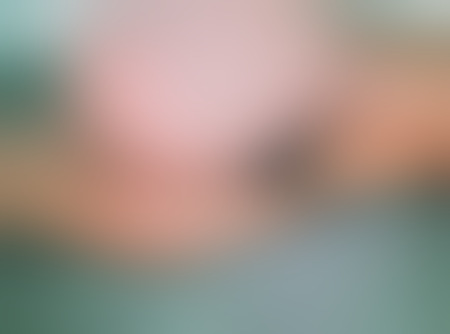 Vanda ganz neu in deiner Stadt, Lutherstadt Wittenberg