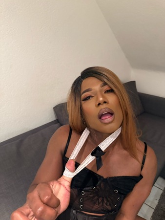 TS Brenda XXL, Hannover