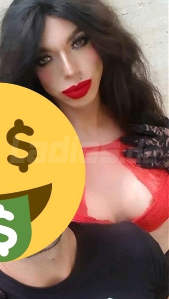 Foto von TS MELLANY ANACONDA mit Klimaanlage