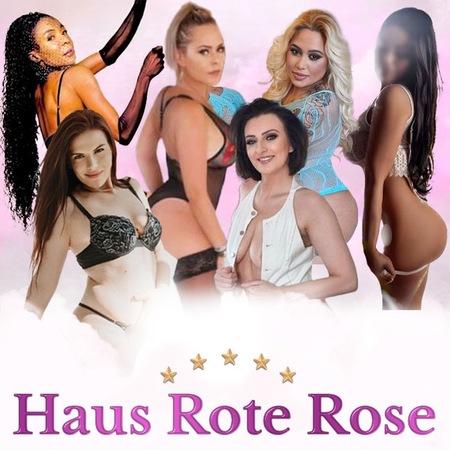 Haus Rote Rose - Klimatisierte Räume, Messel