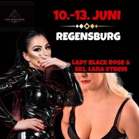 Lady Black Rose, Regensburg