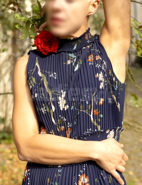 Foto von Rosa Romantika