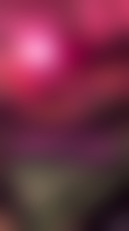 Kalena DT Queen with soft dominant&Partygirl 18+, Kleve