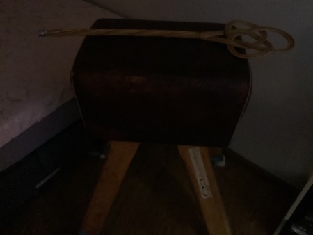 Lady Madeleine - Dominant & Bizarr, Aurich