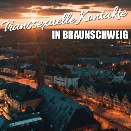 Sex mit Transsexuellen in Braunschweig, Braunschweig
