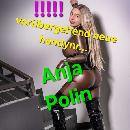 Anja Polin, Nürnberg