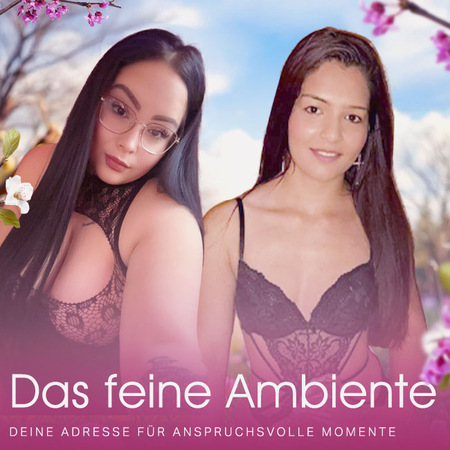 Das feine Ambiente Fürth