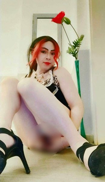 Foto von TS MOUSIE  t, Top Aktiv & Passiv