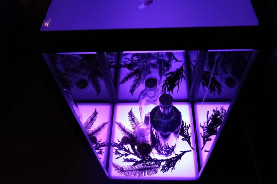 Foto von Sex & Erotik in Perfektion