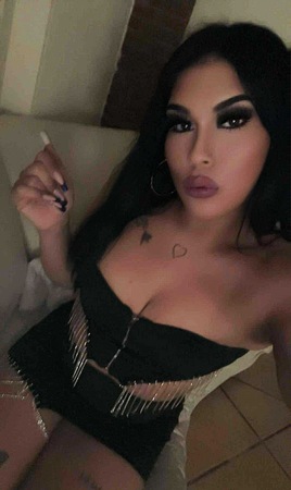 TS Kitty ** NEU**, Köln