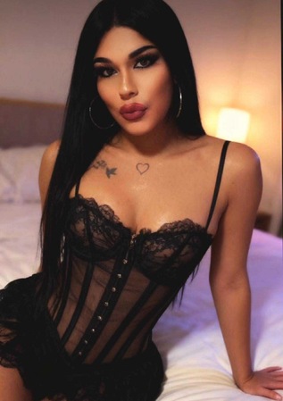 TS Kitty ** NEU**, Köln