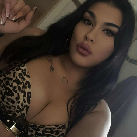 TS Kitty ** NEU**, Köln