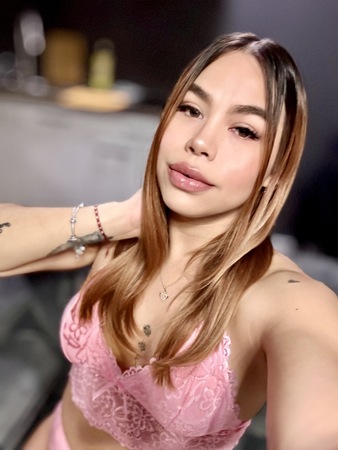 TS Sarita Fox, Hannover