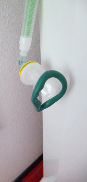 Foto von Domina Comtesse Desiree