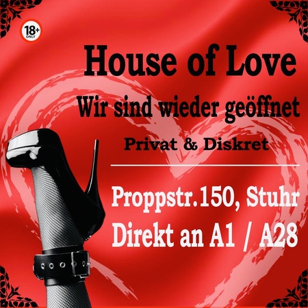 House of Love, Stuhr
