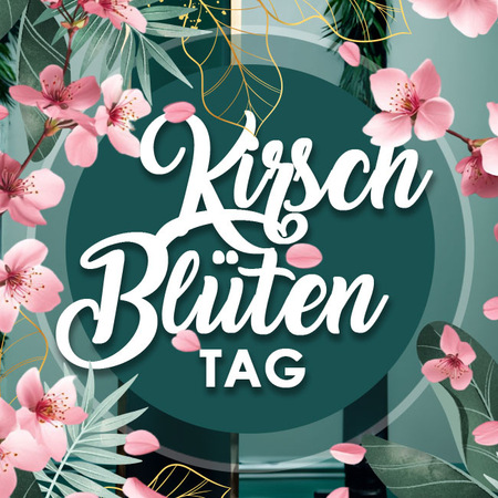 Kirschblüten-Tag - Ein Tag wie ein sanfter Frühlingstraum, Bonn