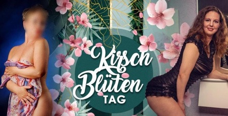 Kirschblüten-Tag - Ein Tag wie ein sanfter Frühlingstraum, Bonn