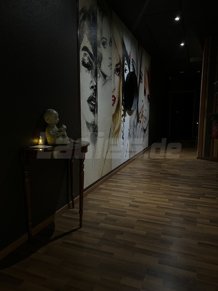 Foto von Apricot Lounge - Heute verfügbare Damen, diskret & exklusiv