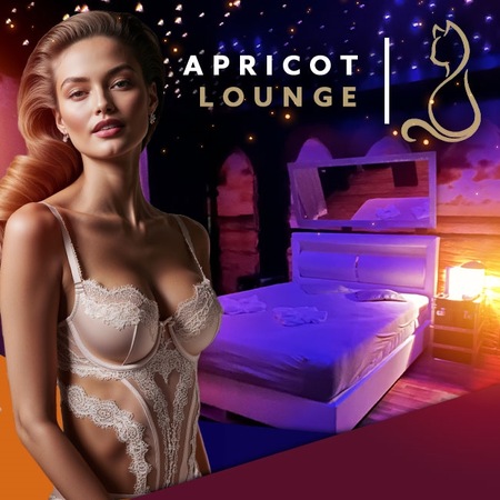 Apricot Lounge - Heute verfügbare Damen, diskret & exklusiv, Bad Oeynhausen