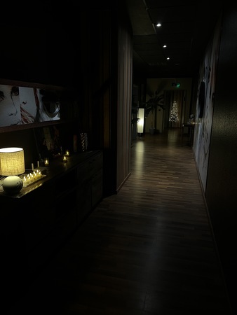 Apricot Lounge - Erotische Massagen & mehr, Bad Oeynhausen