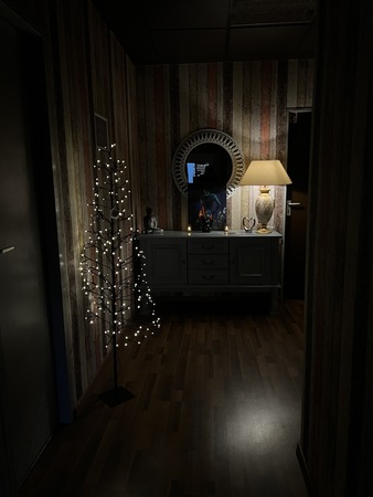 Apricot Lounge - Erotische Massagen & mehr, Bad Oeynhausen