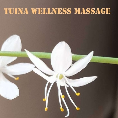Tuina Wellness Massage