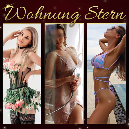 Wohnung Stern - ANGEBOTSWOCHE