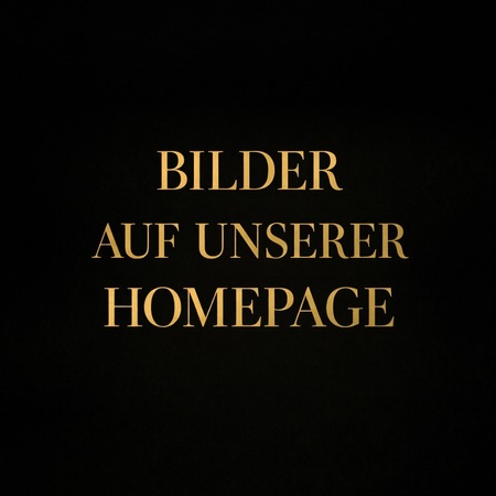 Switcherin Lady Zarah, Weinheim