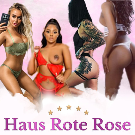 Haus Rote Rose - Klimatisierte Räume, Messel