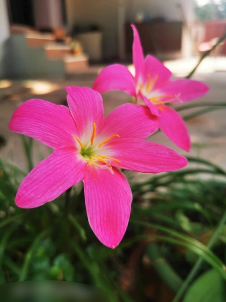 Foto von Massageteam Göttingen