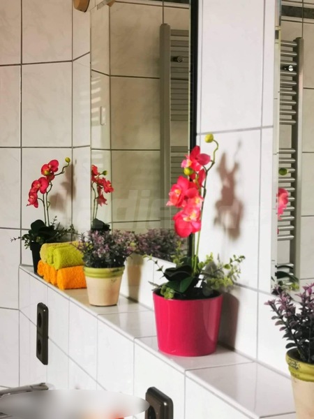 Foto von Massageteam Göttingen