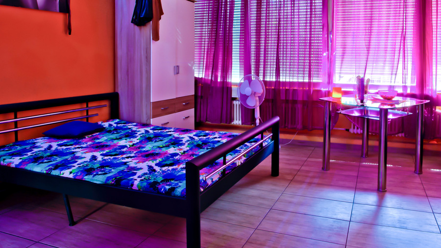 Foto von TOP TIP! House 24