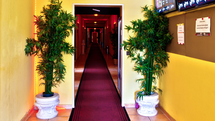 Foto von TOP TIP! House 24