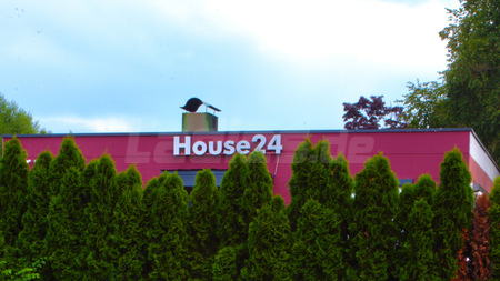 TOP TIP! House 24, Konstanz