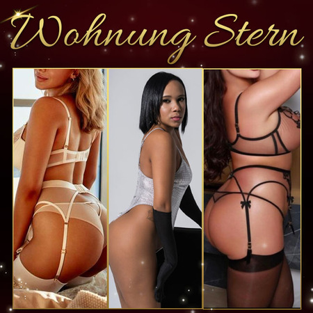 Wohnung Stern, Plauen