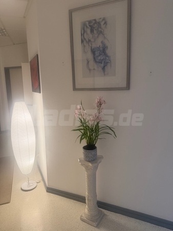 Tantra Studio Exclusiv - Masseurinnen im täglichen Wechsel!, Diez