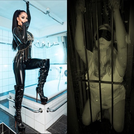 Lady Black Rose, Stuttgart