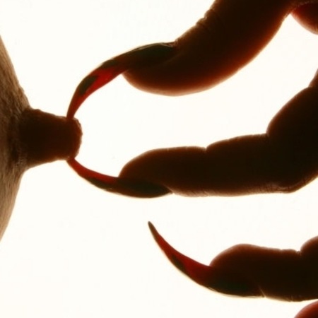 DINA! GANZ NEU!, Berlin