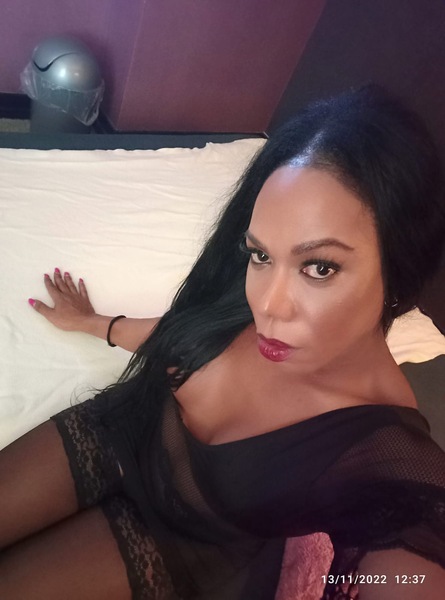 Foto von TS PANTERA BLACK XXL