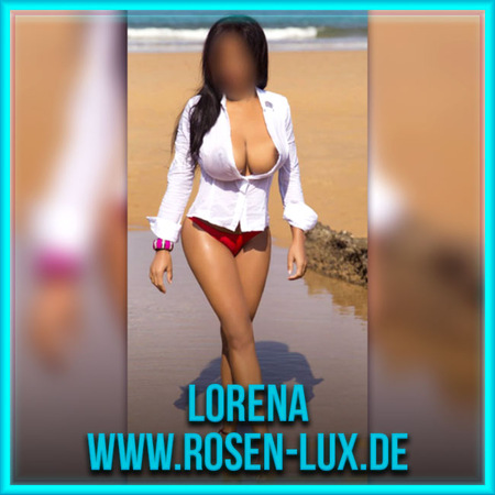 Lorena Megaservice AV & Mehr, Darmstadt