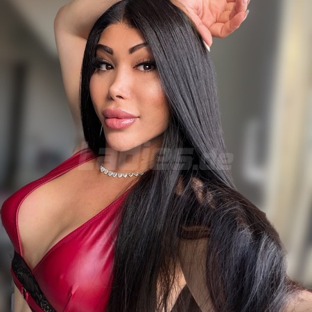 Ts Vulkan Sexy Dool Big ar***, Hanau