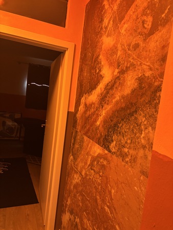 Bienenhaus -NEUERÖFFNET, Tübingen