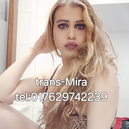 Trans Mira - d*uereil NUR NOCH HEUTE, Heilbronn