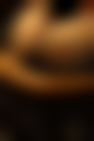 Foto von Silke Müller  Devot