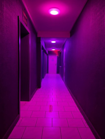 Laufhaus Saline, Erfurt