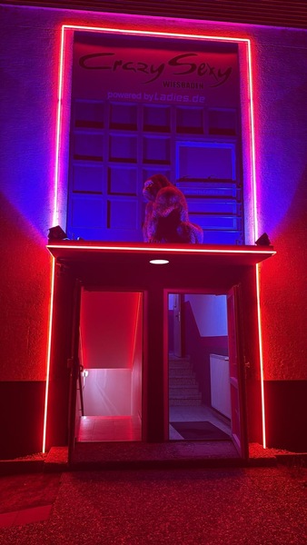 Foto von Crazy Sexy - unter neuer Leitung