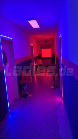 Crazy Sexy - unter neuer Leitung, Wiesbaden