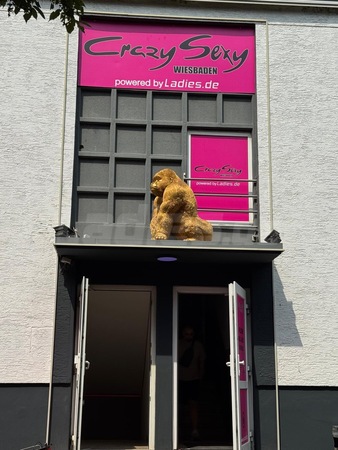 Crazy Sexy - unter neuer Leitung, Wiesbaden